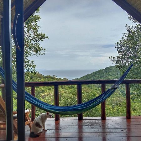 Tree House Bungalows Ko Tao Esterno foto