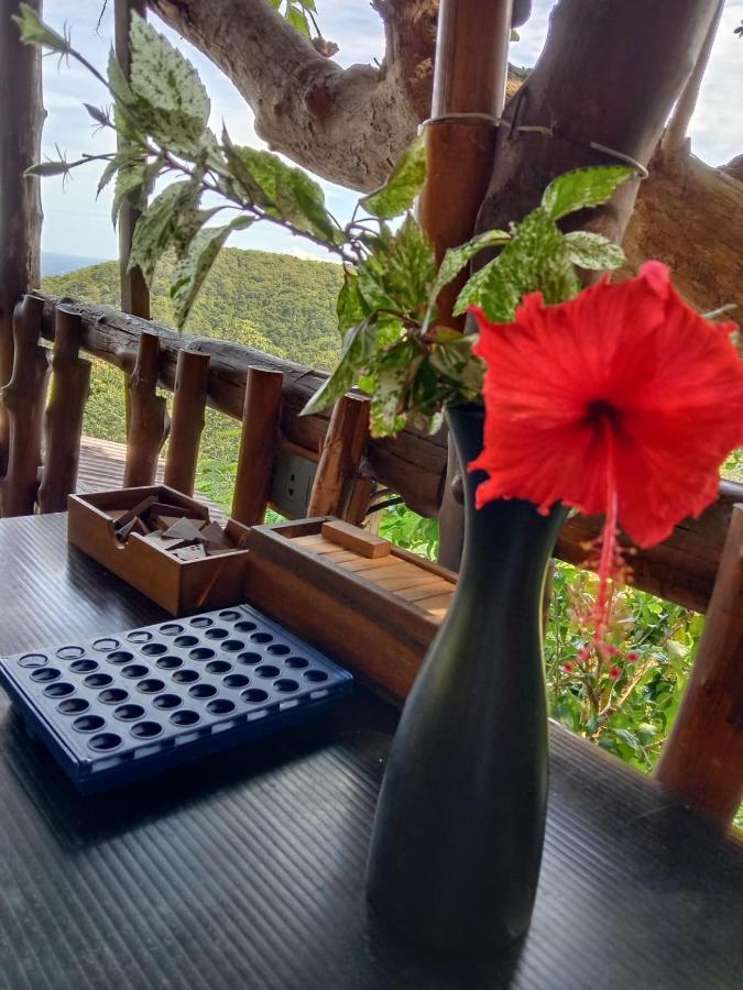 Tree House Bungalows Ko Tao Esterno foto