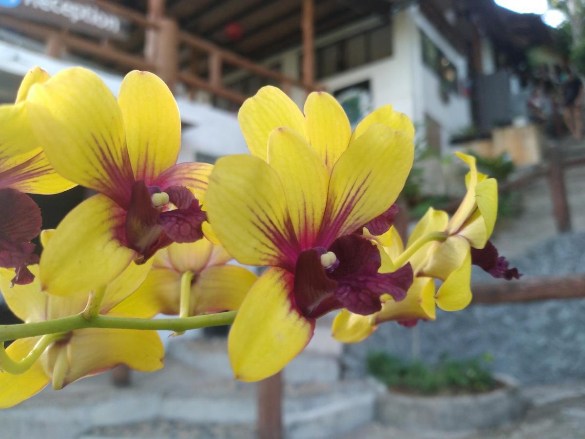 Tree House Bungalows Ko Tao Esterno foto