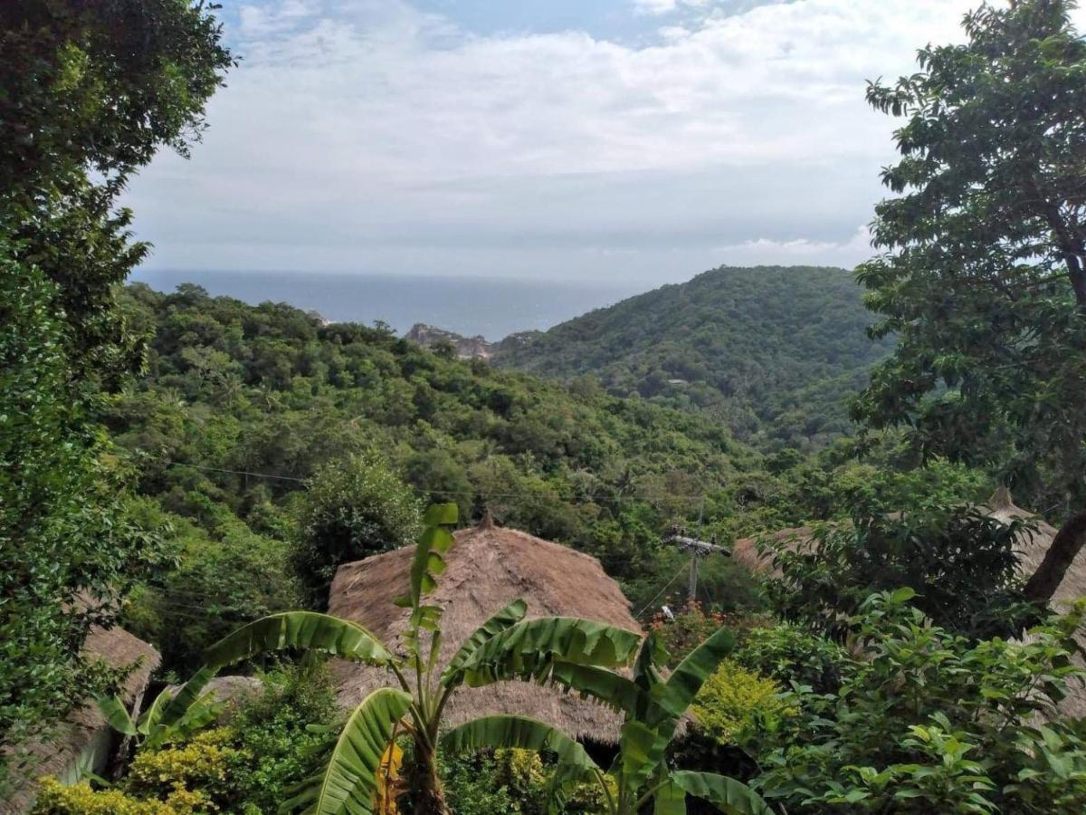Tree House Bungalows Ko Tao Esterno foto