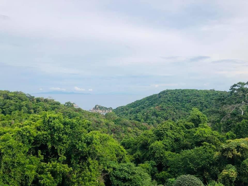Tree House Bungalows Ko Tao Esterno foto