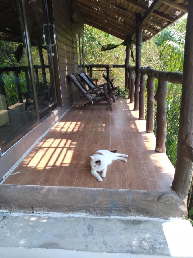 Tree House Bungalows Ko Tao Esterno foto