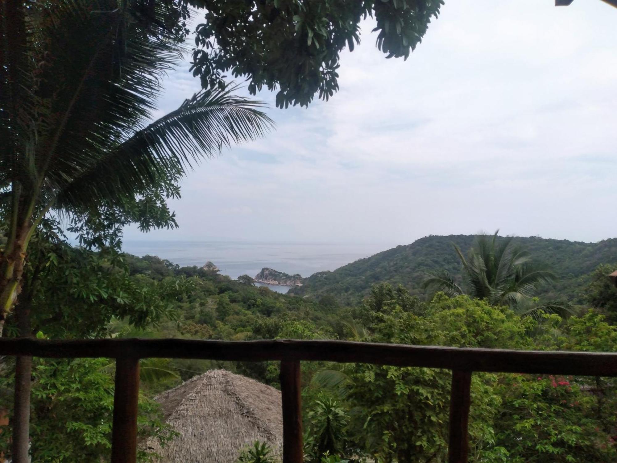 Tree House Bungalows Ko Tao Esterno foto